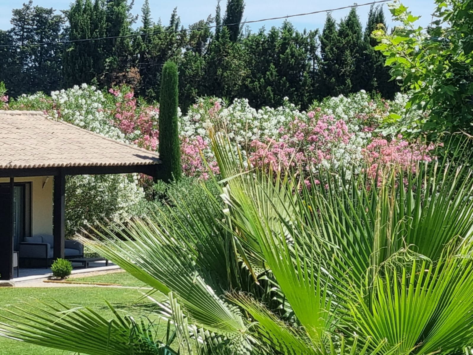 Gîte Saint Laurent - Mas Paloma - Gîtes et chambres d'hôtes en Provence