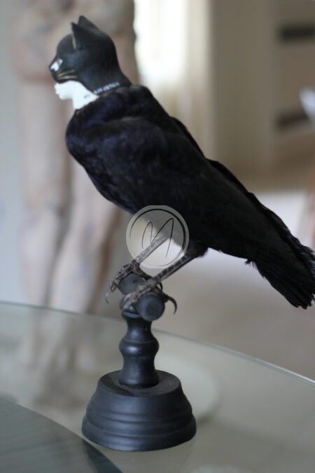 Ouvrez vos ailes II par Anne Marie VESCO