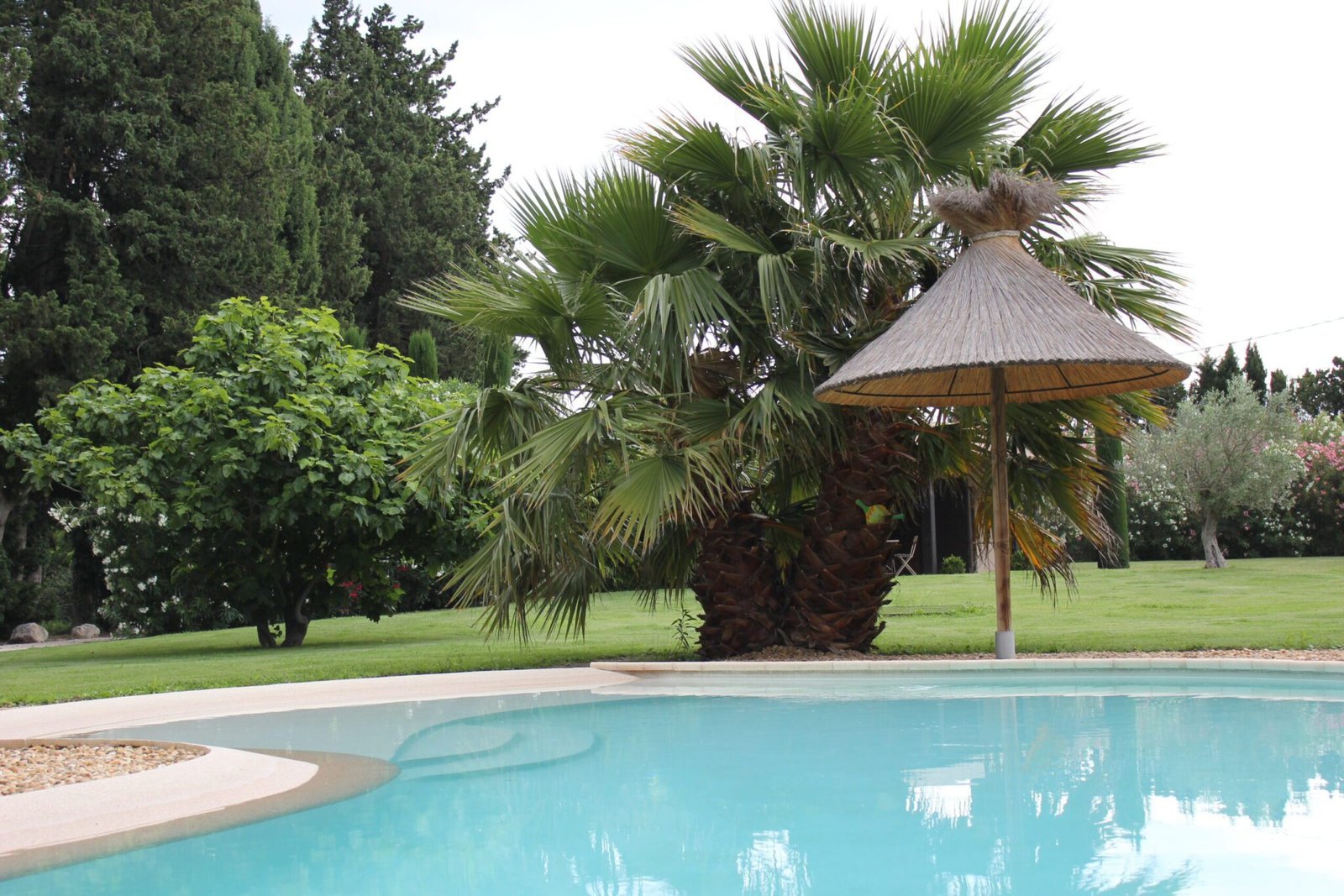 Piscine mai 202411 - Mas Paloma – Gîtes & chambres d’hôtes en Provence à Rognonas