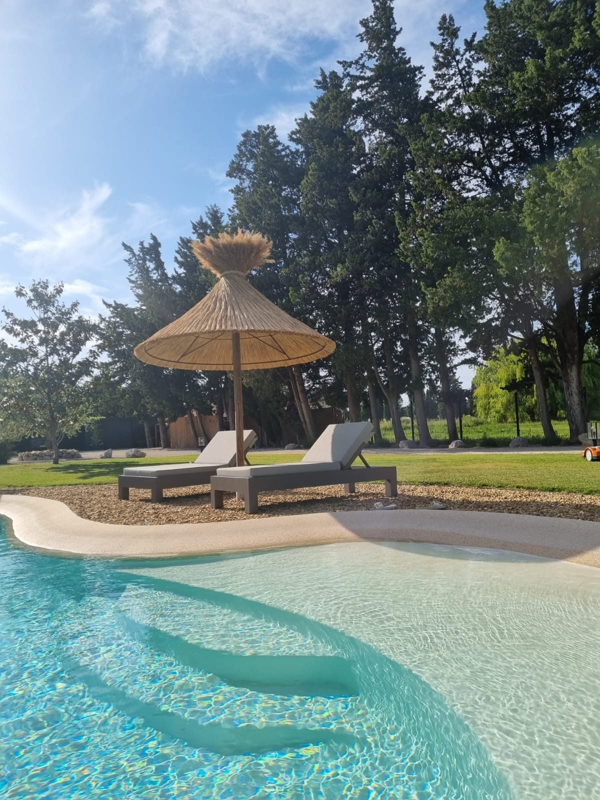 Piscine mai 202411 - Mas Paloma – Gîtes & chambres d’hôtes en Provence à Rognonas