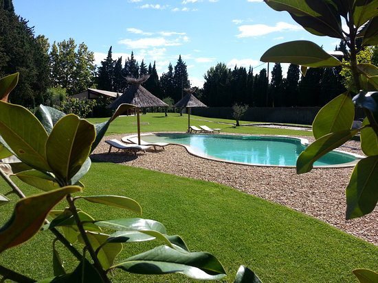 Piscine mai 202411 - Mas Paloma – Gîtes & chambres d’hôtes en Provence à Rognonas