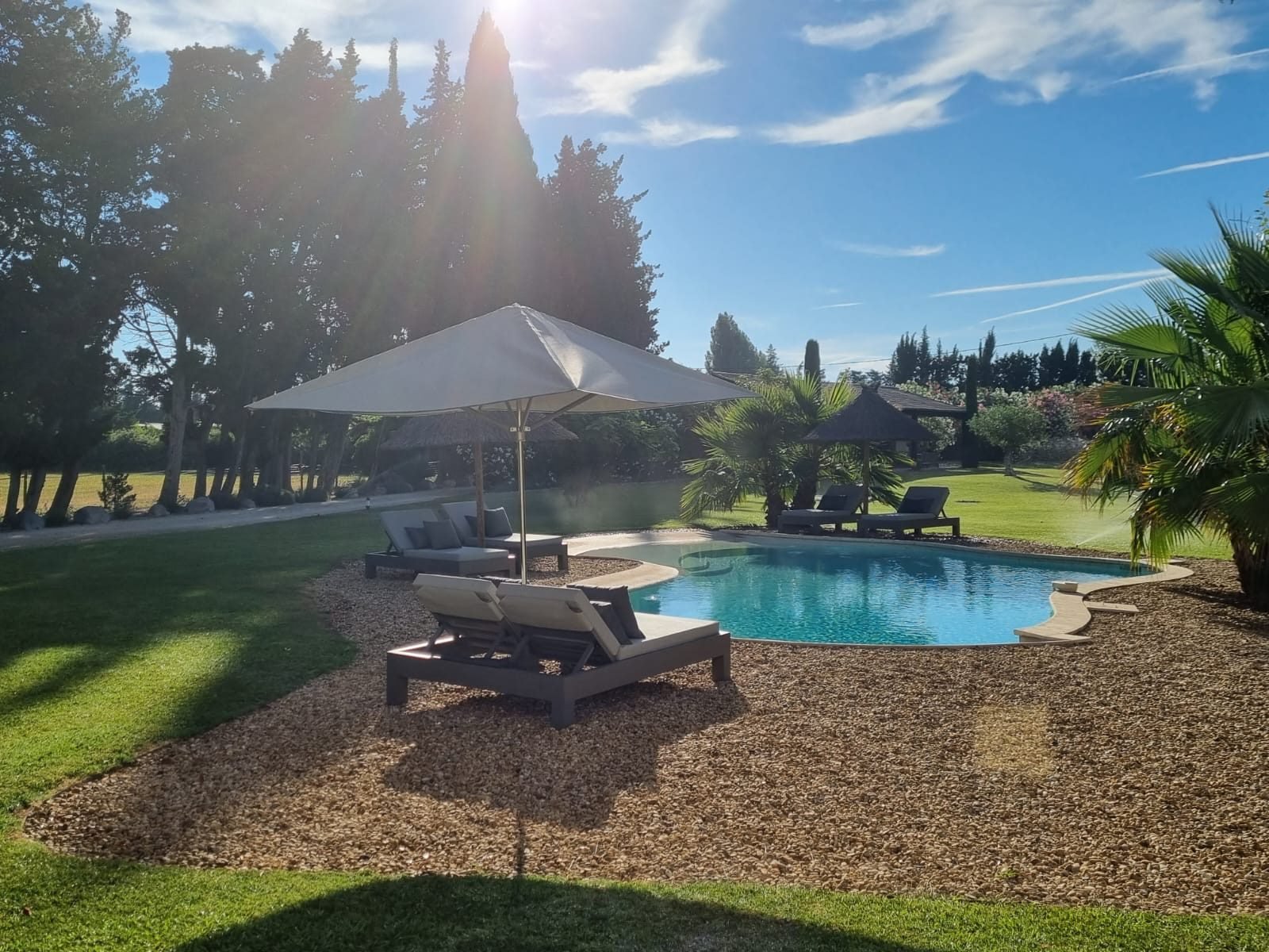 Piscine mai 20248 - Mas Paloma – Gîtes & chambres d’hôtes en Provence à Rognonas