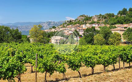 Oenotourisme : une immersion dans les vignobles de Provence - Mas Paloma – Gîtes & chambres d’hôtes en Provence à Rognonas