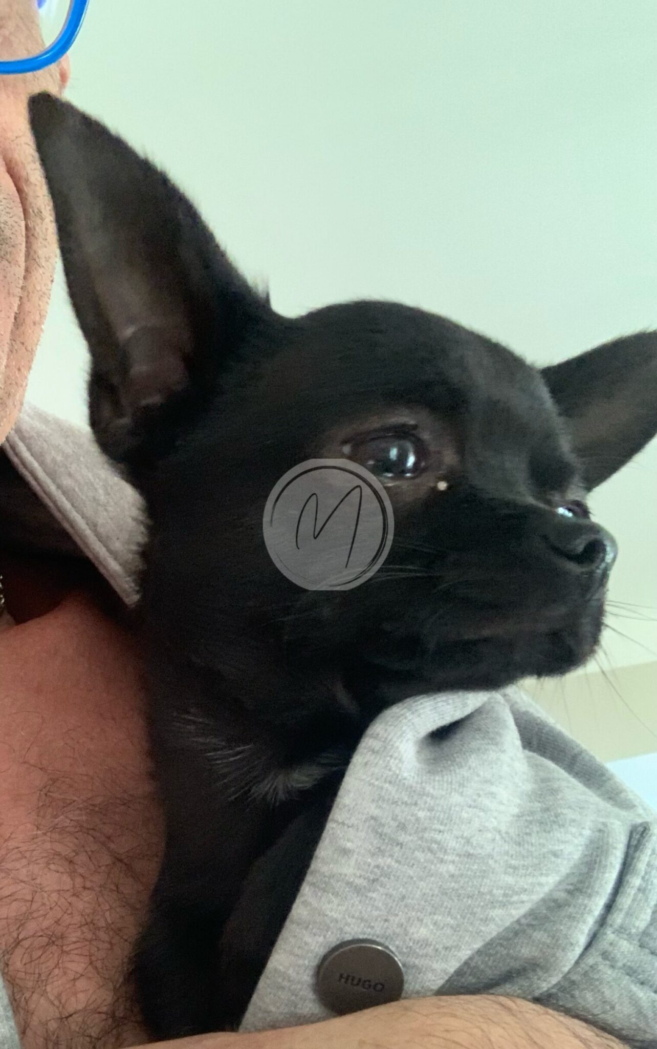 Votre ami toujours proche de vous Mas Paloma – Gîtes & chambres d’hôtes en Provence à Rognonas - Services